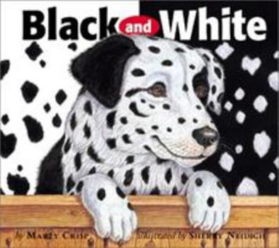 Hardcover Black and White Book
