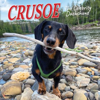 Unknown Binding Crusoe the Celebrity Dachshund 2025 7 X 7 Mini Wall Calendar Book