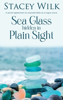 Paperback Sea Glass hidden in Plain Sight Book