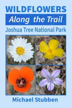Wildflowers Along the Trail: Joshua Tree National Park