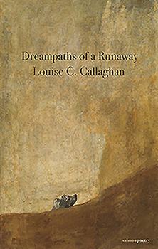Paperback Dreampaths of a Runaway Book