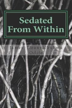 Paperback Sedated from Within: The Challenge of Underdevelopment in Nigeria Book
