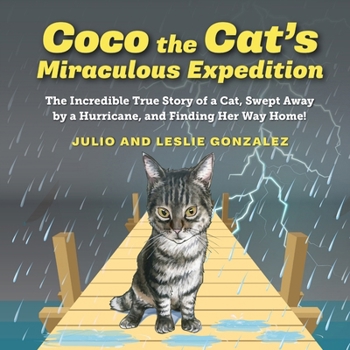 Coco the Cat's Miraculous Expedition