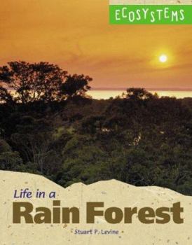 Hardcover Life in a Rainforest Book