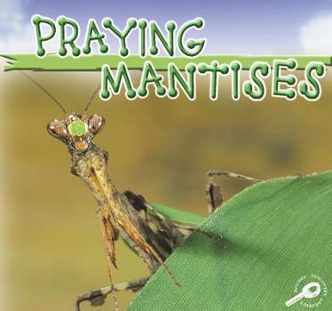 Library Binding Praying Mantises Book