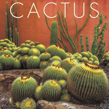 Calendar Cactus 2020 Wall Calendar Book