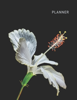 Planner: Hibiscus 2 Year Weekly Planning Organizer | 2020 - 2021 | January 20 - December 21 | Writing Notebook | Productive Datebook Calendar Schedule | Plan Days, Set Goals & Get Stuff Done