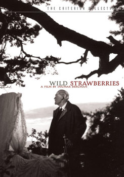 Wild Strawberries