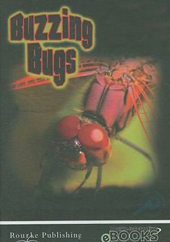 CD-ROM Buzzing Bugs Book