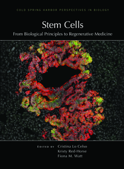 Stem Cells