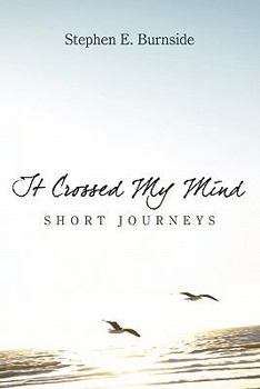 Paperback It Crossed My Mind: Short Journeys Book
