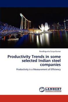 Paperback Productivity Trends in some selected Indian steel companies Book