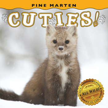 Board book Pine Marten Cuties! Book