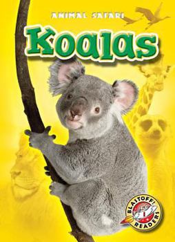 Koalas - Book  of the Animal Safari