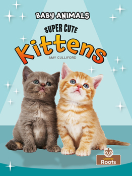 Library Binding Super Cute Kittens Book