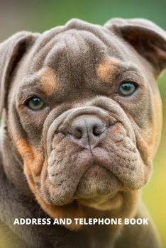 ADDRESS AND TELEPHONE BOOK: (with discreet password journal section) PROUD BRITISH DOG Design Book COVER, Organized in Alphabetical Order, Discreet ... month by month birthday/anniversary section.