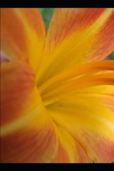 Paperback Farcical, Passionate Poetry Eleventh Edition Book