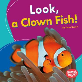 Library Binding Look, a Clown Fish! Book