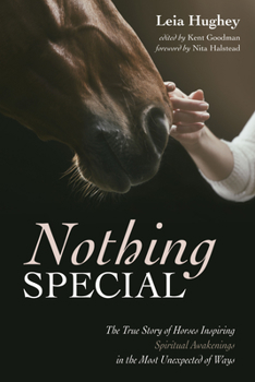 Hardcover Nothing Special Book