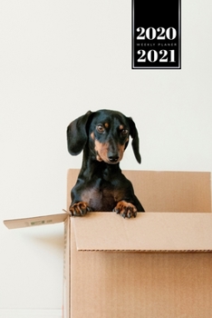 Dachshund Dog Calendar Week Planner 2020 / 2021 - In the Box: Pup Puppy Doggie Pet Owner Weekly Bullet Journal Notebook Diary in 6” x 9” Inch Pocket Size