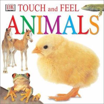 Touch and Feel Animals Box Set - Book  of the DK Touch and Feel