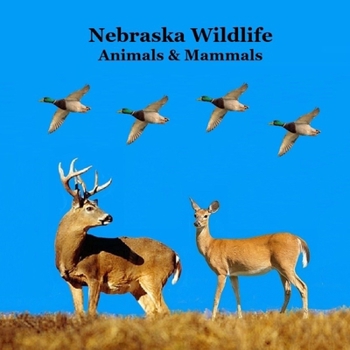 Nebraska Animals and Mammals Kids Wildlife Book: Great Nebraska Animals book with Lifelike Images and Fun Facts