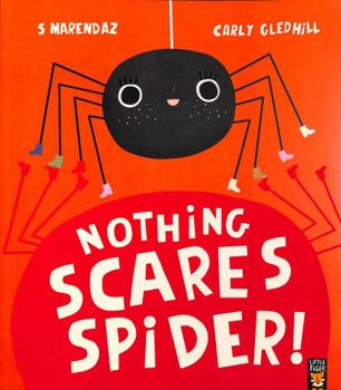 Paperback Nothing Scares Spider Book