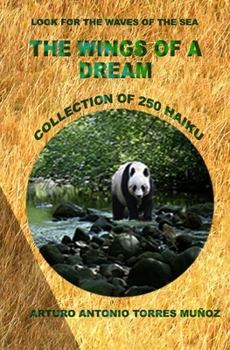 THE WINGS OF A DREAM: Bring the light of hope to the soul (Mis sueños de haiku)