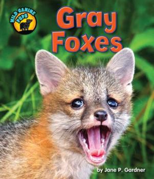 Gray Foxes - Book  of the Wild Canine Pups