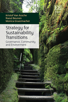 Hardcover Strategy for Sustainability Transitions: Governance, Community and Environment Book