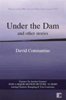 Paperback Under the Dam: And Other Stories Book