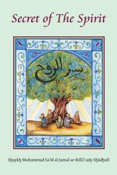 Paperback Secret of the Spirit Book