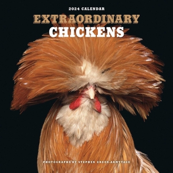 Calendar Extraordinary Chickens 2024 Wall Calendar Book