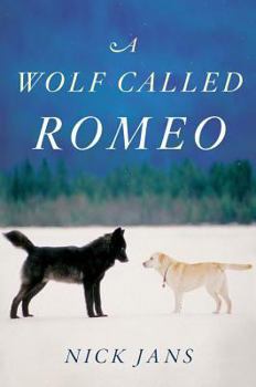 Hardcover A Wolf Called Romeo Book