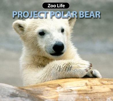 Hardcover Project Polar Bear Book