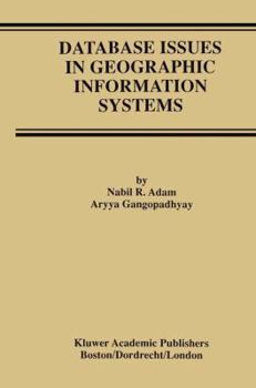 Paperback Database Issues in Geographic Information Systems Book