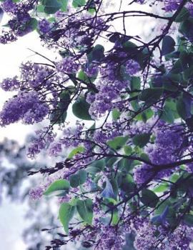 Notebook Large 8.5 x 11 Ruled 150 Pages