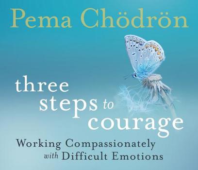 Audio CD Three Steps to Courage: Working Compassionately with Difficult Emotions Book
