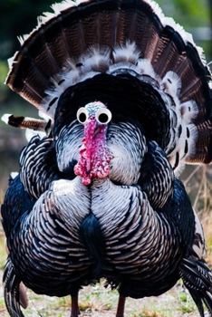 Paperback Googly Eye Turkey Journal: 100-page blank lined journal featuring a turkey with googly eyes Book