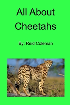 Paperback All About Cheetahs Book