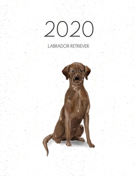2020 Labrador Retriever: Dated Weekly Planner With To Do Notes & Dog Quotes - Brown Labrador Retriever (Awesome Calendar Planners for Dog Owners)
