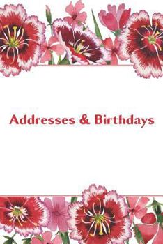 Paperback Addresses & Birthdays: Watercolor Red Carnations Book