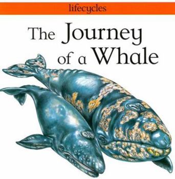 Paperback The Journey of a Whale (Lifecycles) Book