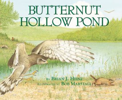 Paperback Butternut Hollow Pond Book