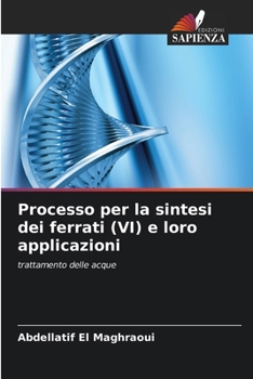 Paperback Processo per la sintesi dei ferrati (VI) e loro applicazioni [Italian] Book