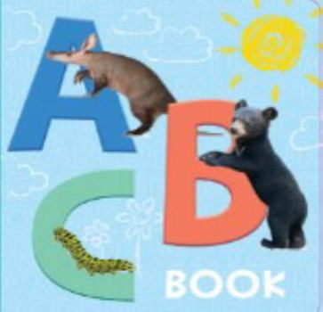 Board book ABC BOOK