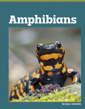 Library Binding Amphibians Book