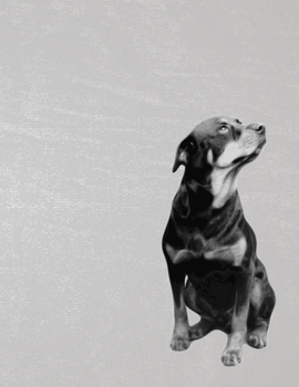 Daily Diary: Blank 2020 Journal Entry Writing Paper for Each Day of the Year Cute Rottweiler Dog Owner Puppy Sitter January 20 - December 20 366 Dated Pages A Notebook to Reflect, Write, Document & Di