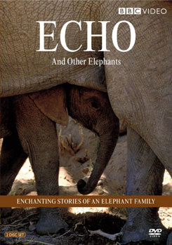 DVD Echo & Other Elephants Book