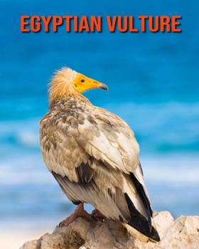 Egyptian Vulture: Amazing Facts about Egyptian Vulture